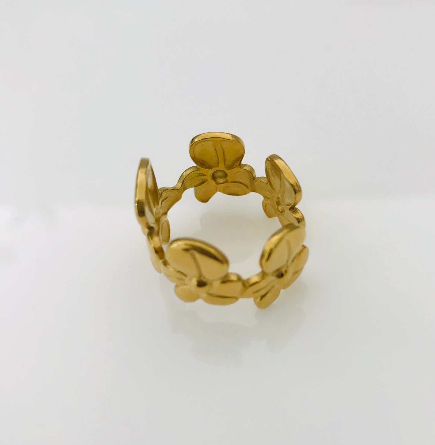 Anillo