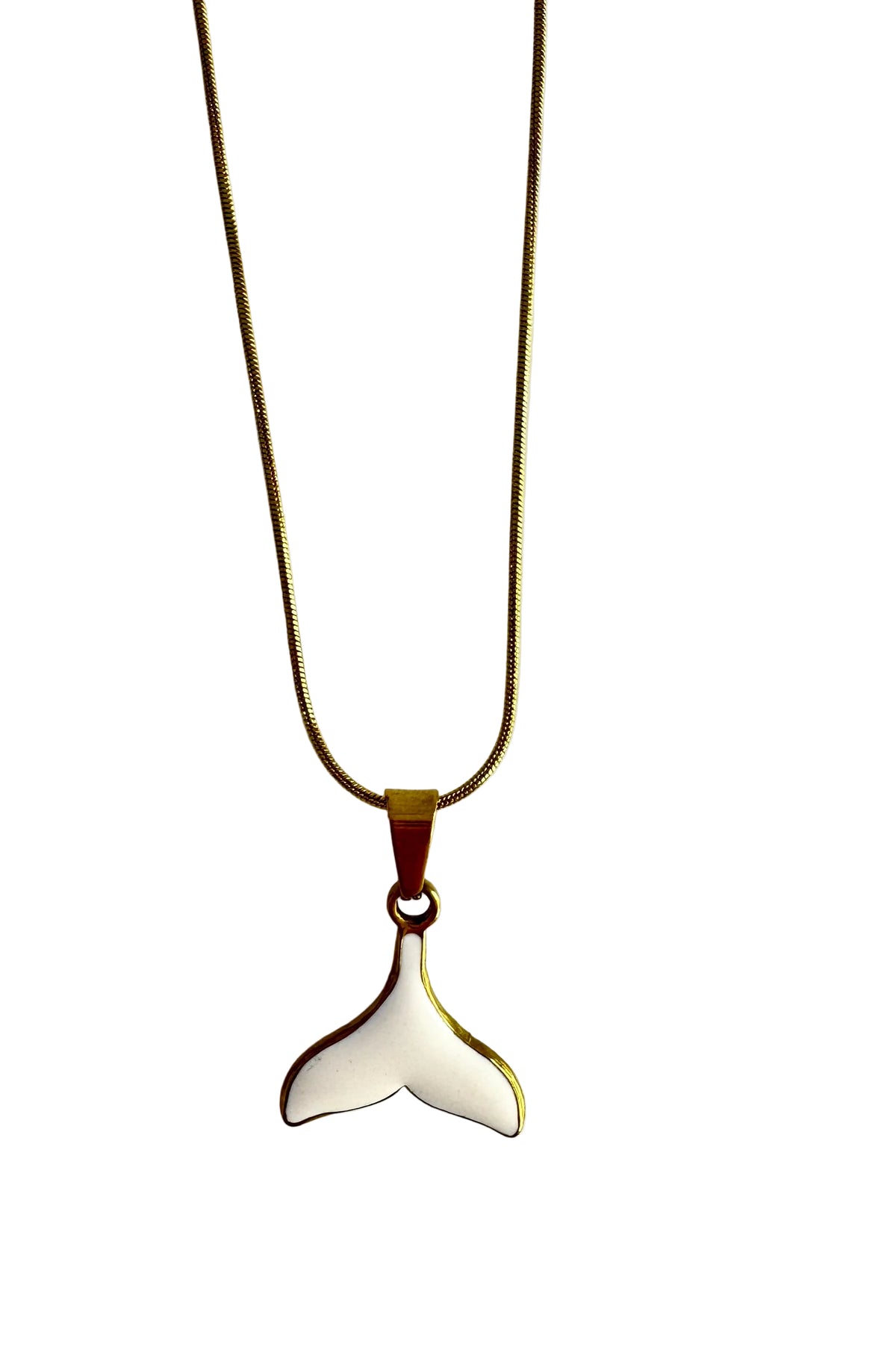 COLLAR