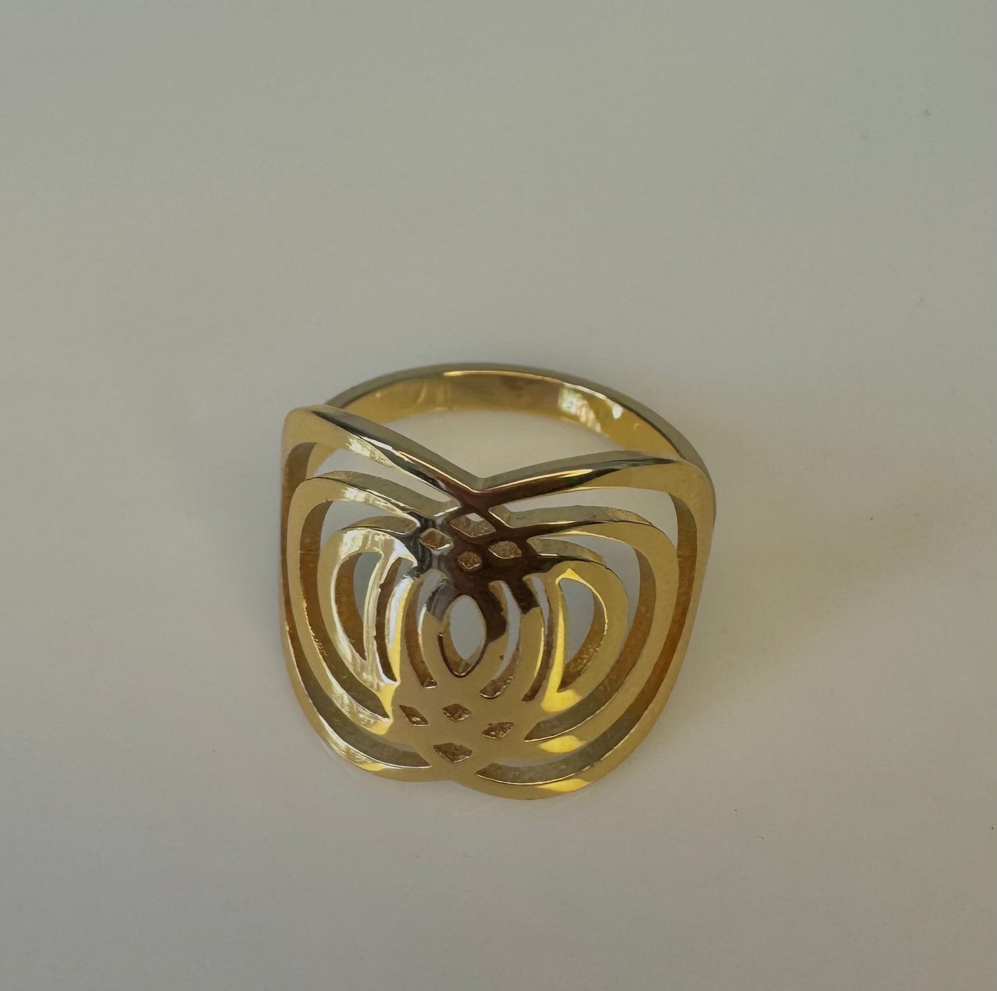 ANILLO PANEL
