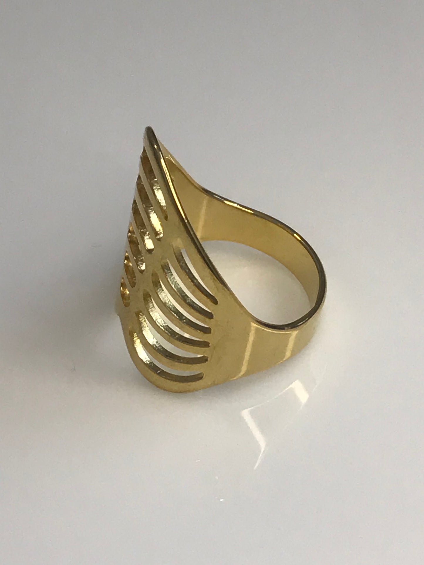 Anillo largo