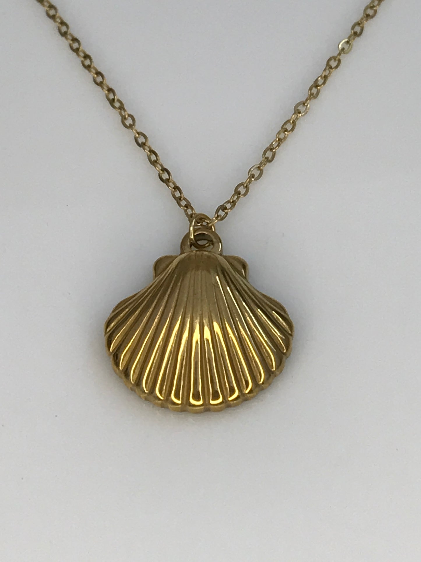 Collar concha