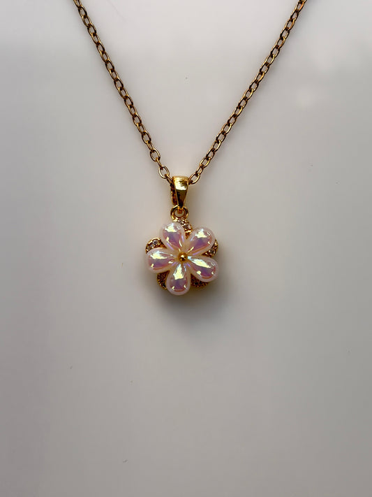 COLLAR