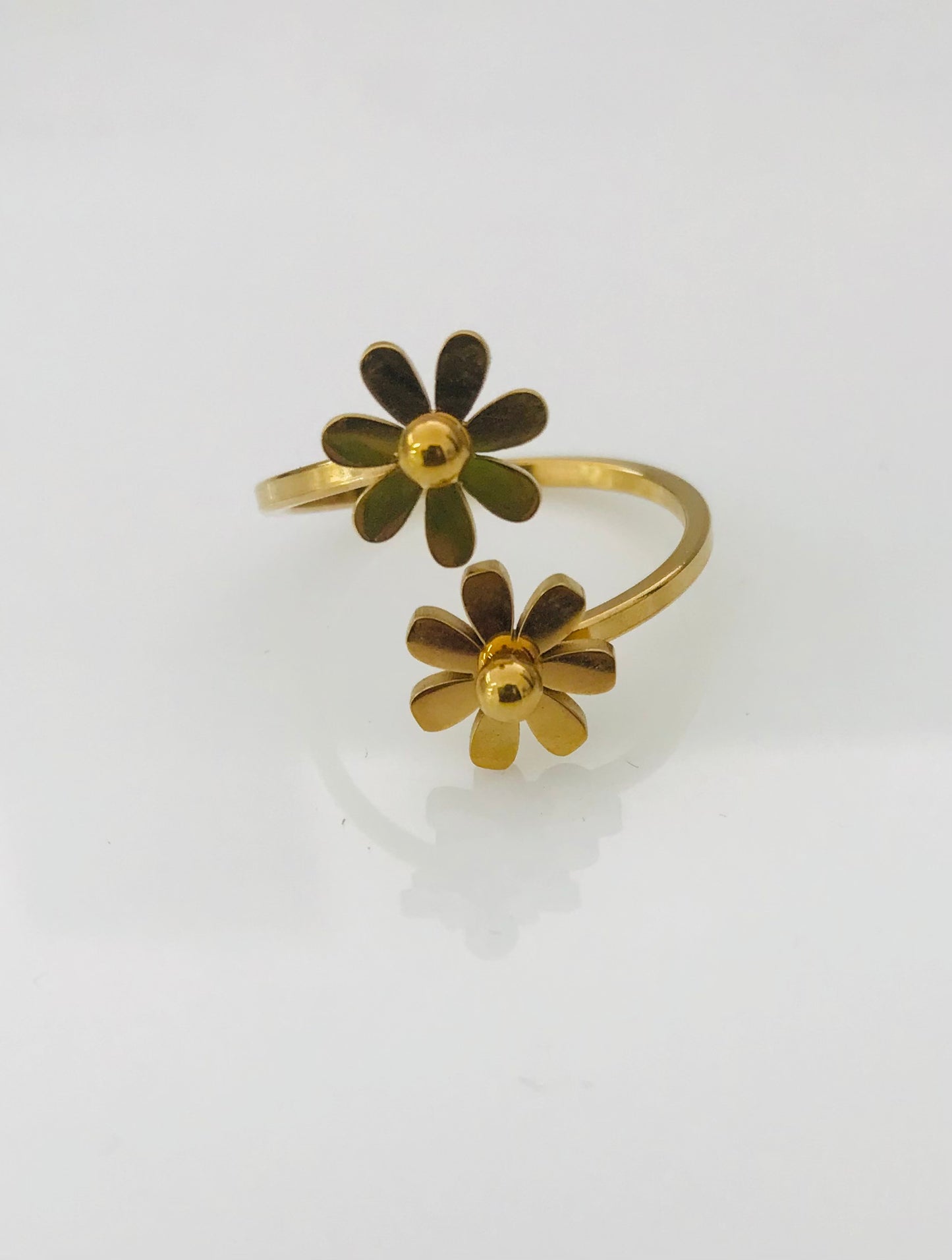 Anillo