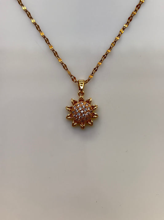 COLLAR
