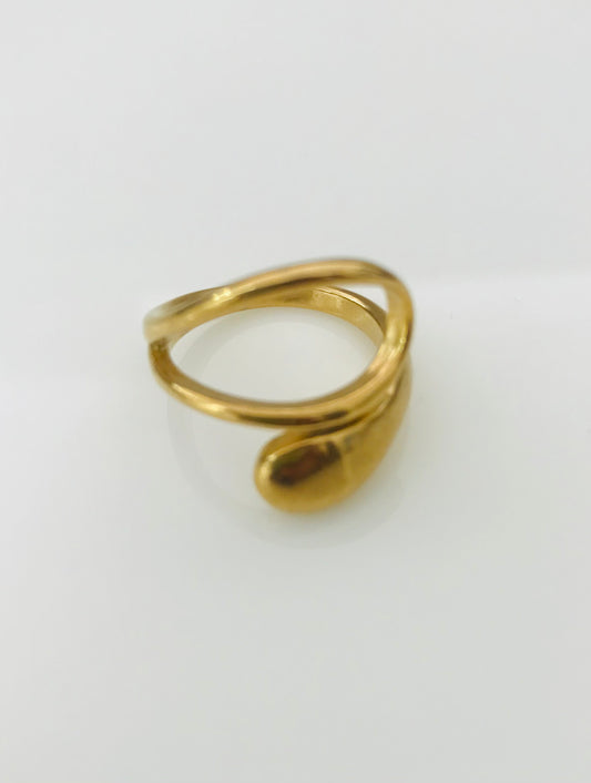Anillo
