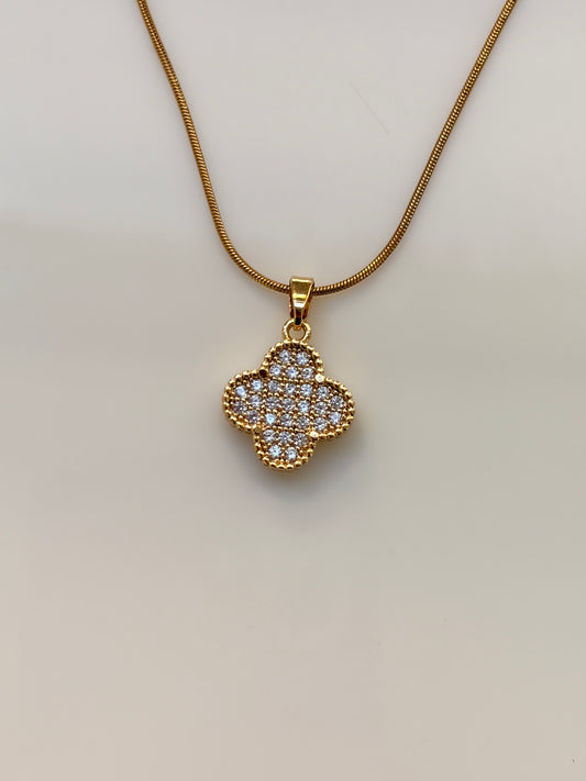 COLLAR