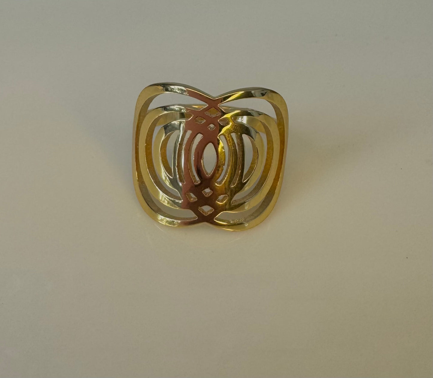 ANILLO PANEL