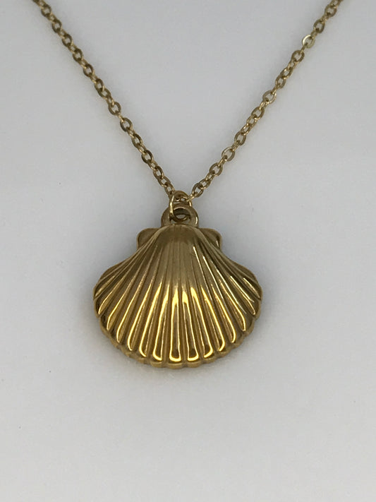 Collar concha