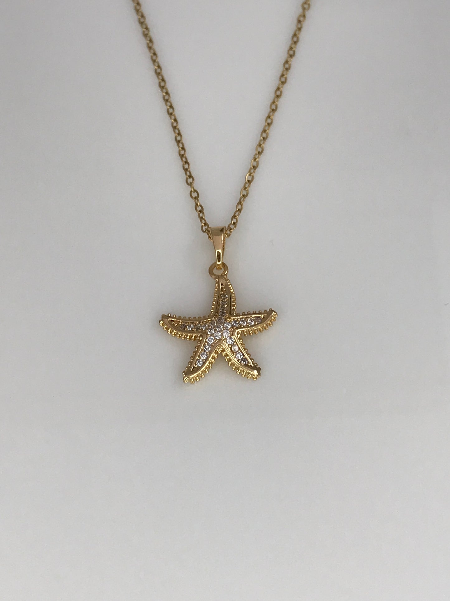 Estrella del mar