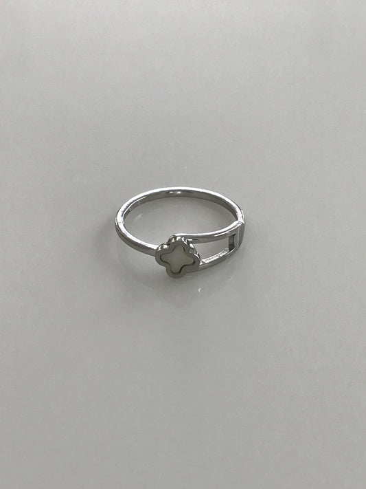 Anillo